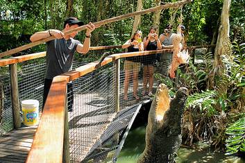 Feeding the BIG crocs